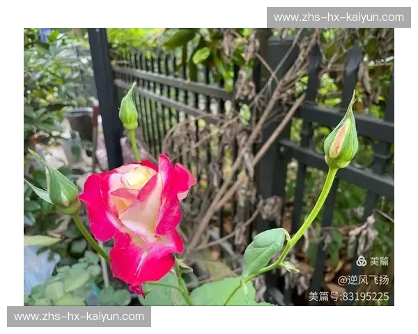 替补的力量：在边缘处静待绽放的机会